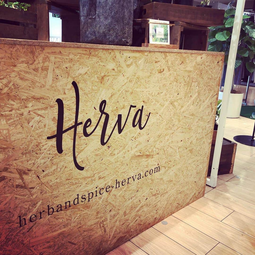 HERVA AKICOのインスタグラム