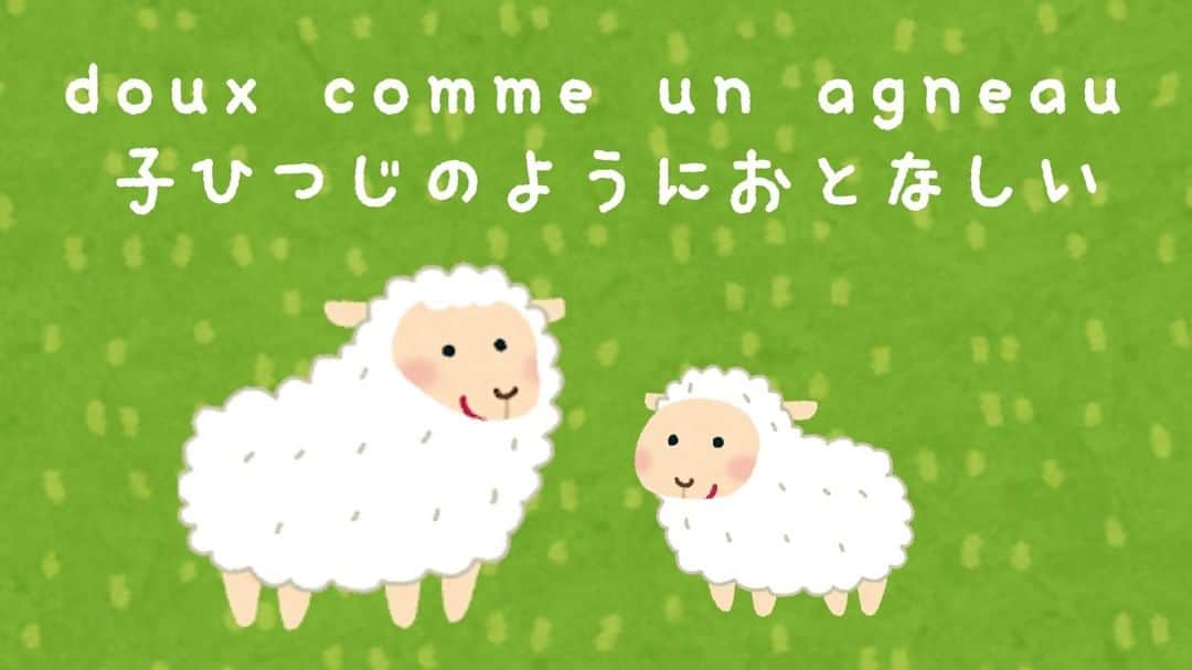 フランス大使館さんのインスタグラム写真 - (フランス大使館Instagram)「【今日の言葉🇫🇷】「子ひつじのようにおとなしい」とはとてもおだやかでおとなしいこと。少しニュアンスは違いますが、日本語だと「借りてきた猫のようにおとなしい」という表現がありますね。 🇫🇷#Parlezvousfrancais ?  Au Japon, on emploie l’expression : Karite kita neko no you ni otonashii (借りてきた猫のようにおとなしい, lit. « être sage comme un chat »).」8月7日 8時00分 - ambafrancejp