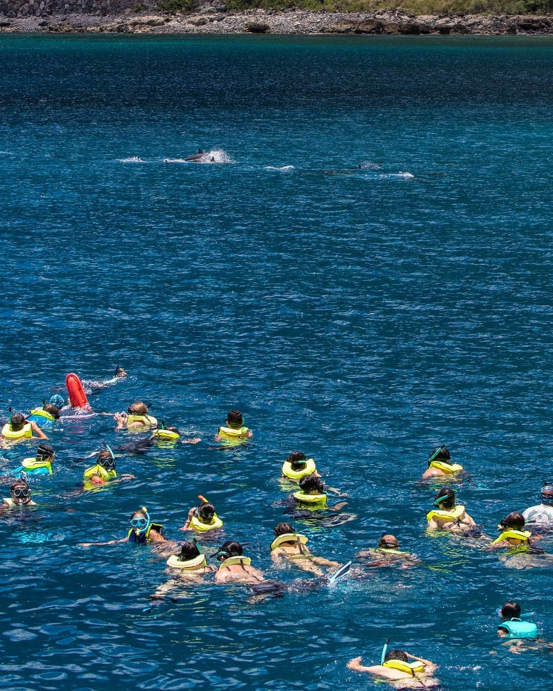 And Youさんのインスタグラム写真 - (And YouInstagram)「​When we stay in a tight group and keep splashing to a minimum the dolphins will swim to check out our human pod! ​. ​. ​. ​. ​. ​. ​. ​. ​. ​. ​. ​. ​. ​. ​#hawaii #hawaiivacation #oahu #oahutours #hawaiistagram #unrealhawaii #hawaiiholiday #oceanlife #sealife #dolphins #wilddolphin」8月7日 8時15分 - dolphinsandyou