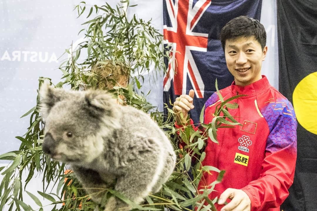 ITTF Worldのインスタグラム