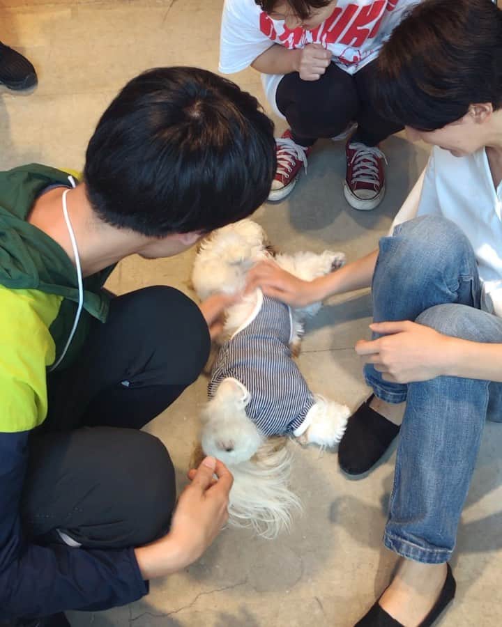 水嶋はちのグルメインスタ