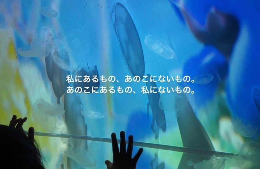 布施柚乃さんのインスタグラム写真 - (布施柚乃Instagram)「芝居、殺陣、ダンス  引き出しの数の違い、 引き出しの使い方、 稽古期間っていろんなこと感じる。  #ゆのがつぶやいた#稽古#舞台#ミュージカル#星の見た夢」8月7日 18時53分 - yuno.fuse