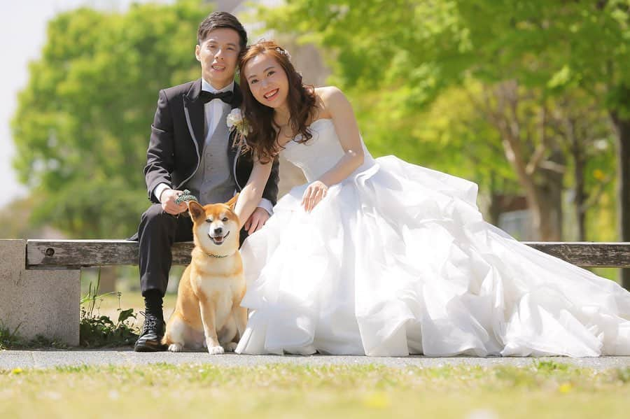 Decollte Wedding Photographyさんのインスタグラム写真 - (Decollte Wedding PhotographyInstagram)「💒Cute Wedding Photo with Shiba dog🐕﻿💕 【Kyoto Kamo river : 京都 鴨川】﻿ ﻿ Photographer @yoshikimaruo_photography ﻿ @studiotvbkyoto  @decollte_weddingphoto  @decollte_weddingstyle ﻿ #japan #Kyoto #weddinginspiration #dogwedding #Weddingphotography #prewedding #weddingphoto #overseasprewedding #japaneseprewedding #japanwedding #landscapephotography #romantic #love #happiness #日本 #京都 #海外婚紗 #婚紗 #唯美 #신부 #웨딩 #웨딩사진」8月7日 19時03分 - d_weddingphoto_jp