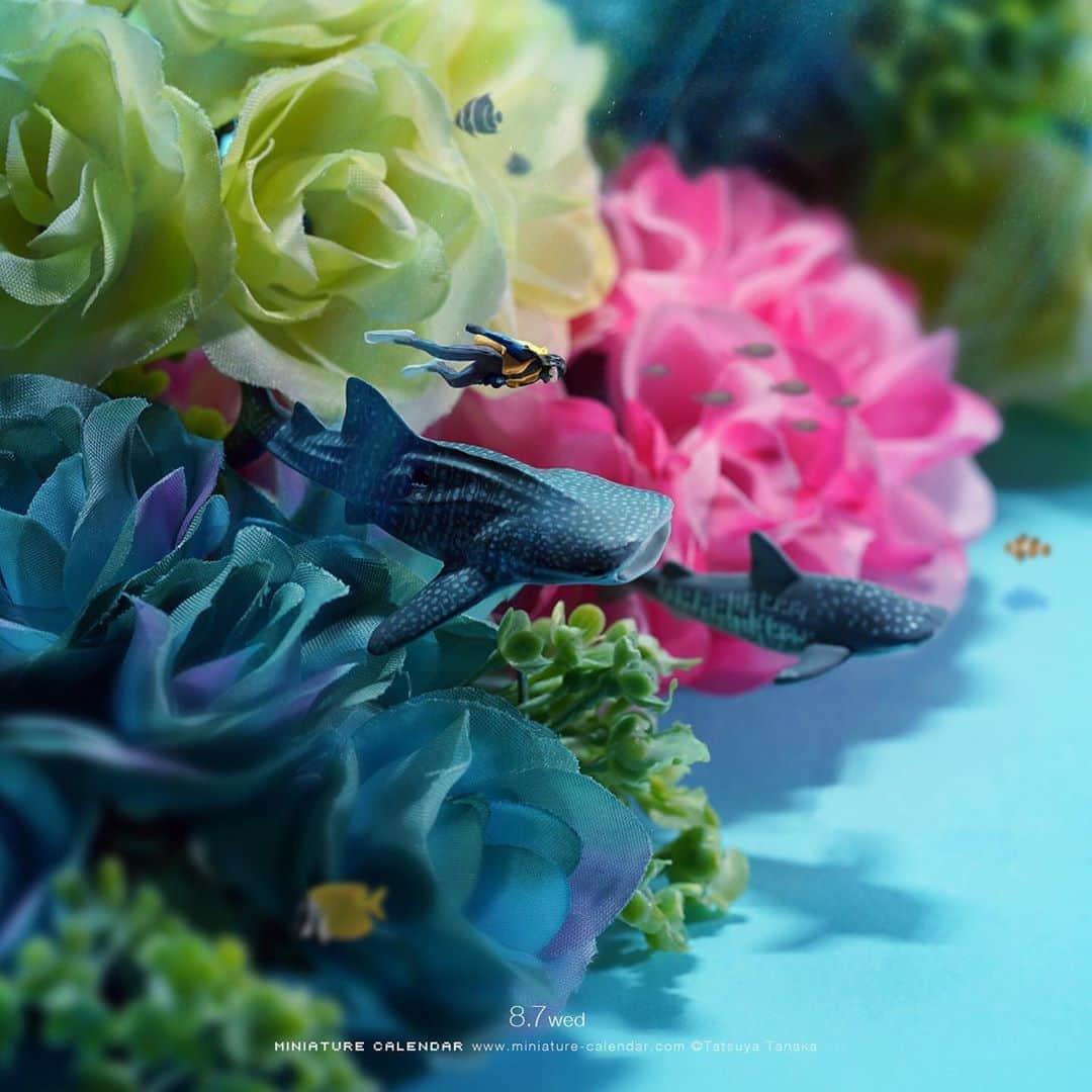 田中達也さんのインスタグラム写真 - (田中達也Instagram)「. 8.7 wed “Coral Reef” . センスいい潜水 . #花の日 #サンゴ礁 #Flower #CoralReef . ─────────────── 《Exhibition info》 . 【MINIATURE LIFE展 in 広島】 Miniature Life Exhibition in Hiroshima ‼️明日から開催‼️ 8/8 thu - 8/20 tue 《ギャラリートーク&サイン会》 8月8日 11:00～、14:00〜 8月9日 11:00～、14:00〜 . 【MINIATURE LIFE展 in 長野】 Miniature Life Exhibition in Nagano 7/26 fri - 8/25 sun #MiniatureLife展 #ミニチュアライフ展 . 【微型展 2.0 -田中達也的奇幻世界- in 高雄】 Miniature Life Exhibition2 in Kaohsiung 6/21 fri - 9/15 sun #微型展 #田中達也微型展 . Please look at the Instagram story’s highlight for more information. .」8月7日 10時30分 - tanaka_tatsuya