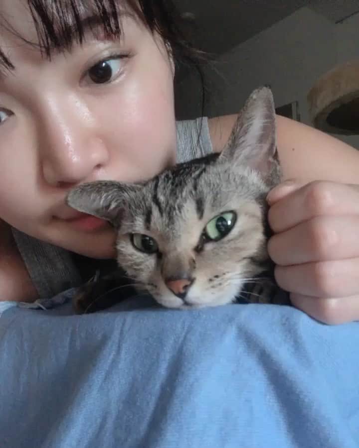 DJ mariennuのインスタグラム：「🐈🐈🐈🐈🐈🐈❤️ 訳あって S&Sしました。すみません。 ↑#なんだと思う ？ ・ ・ ・ #cat #catsofinstagram #猫 #猫すたぐらむ」