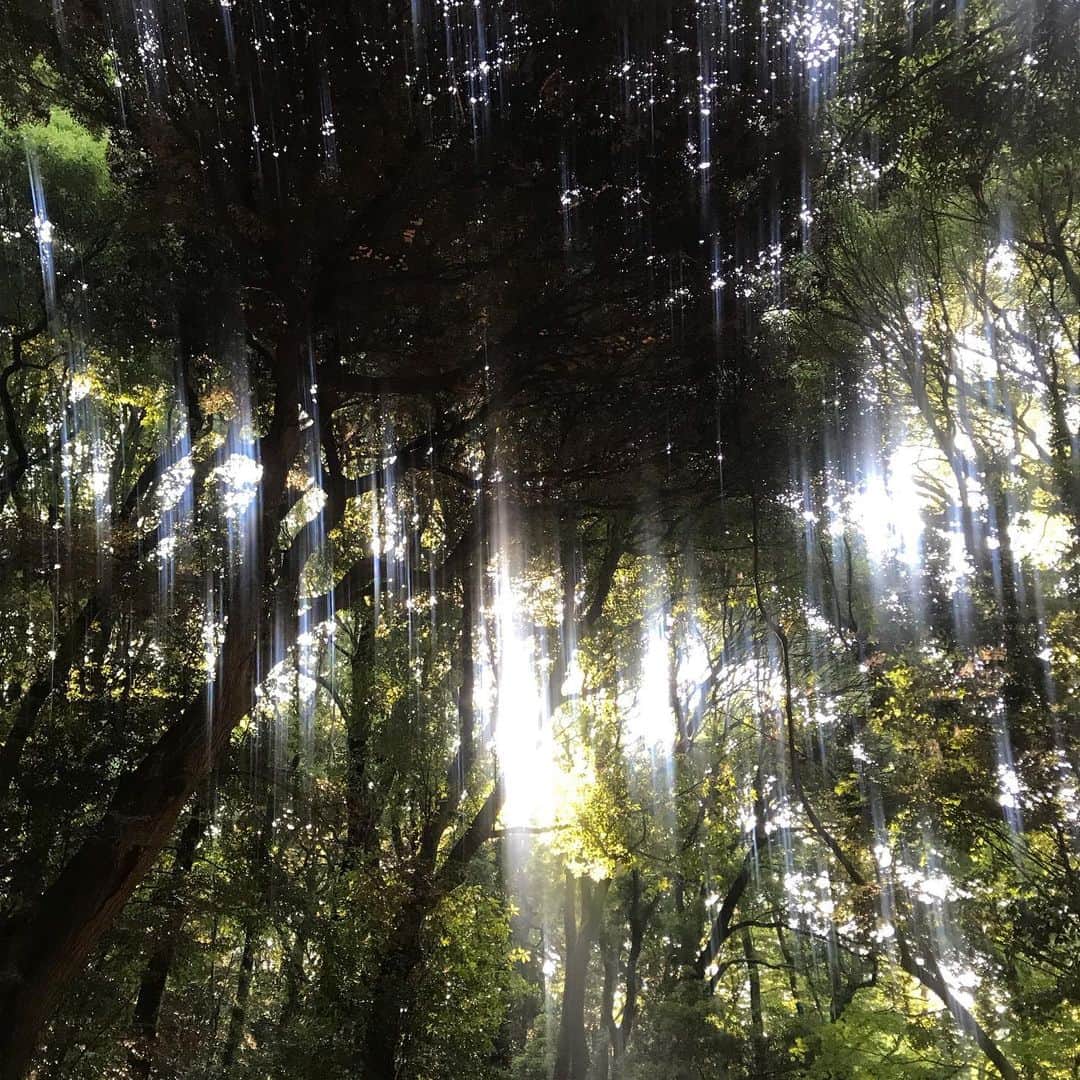 橋本麗香のインスタグラム：「ただいま な場所 ． #nofilter」