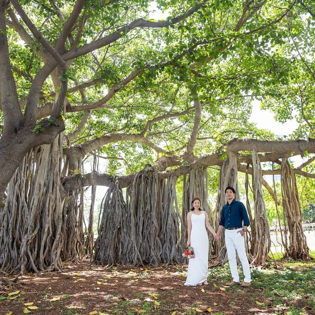 ハワイフォトウェディングのCheers Weddingのインスタグラム