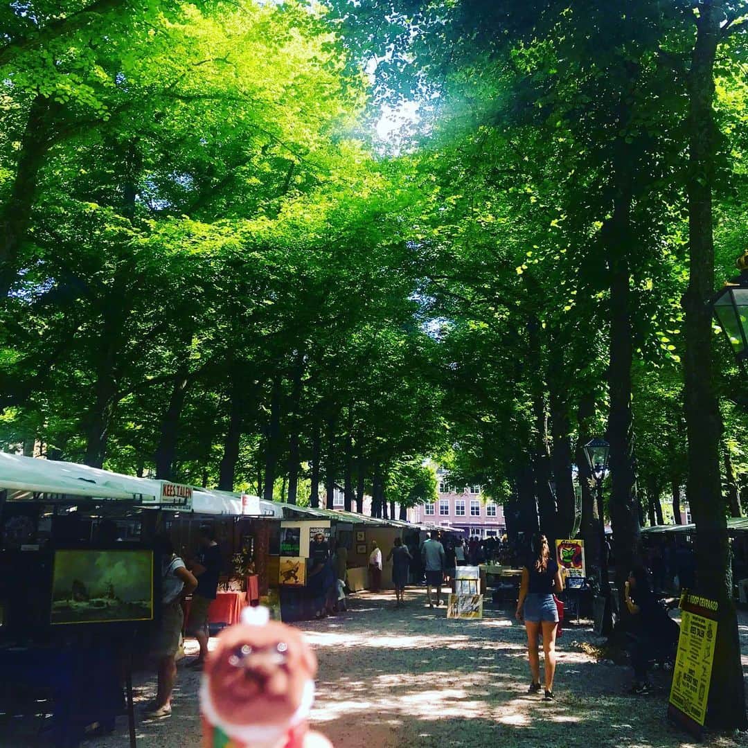 ころのインスタグラム：「ころツーリスト in オランダ(デン・ハーグ)  公園で市場が開いていたので覗いたのですが、それより木からの木漏れ日の美しさに目を惹かれてしまいました😊🎶🎶 ． ころの他の写真を見たい方はこちらから！  @koro.dottokoi .  #ころツーリスト #旅 #旅日記 #旅スタグラム #旅すたぐらむ #トラベラー #旅に出たい #旅の記録 #旅好き #旅写真 #旅行好き #旅したくなるフォト #旅フォト #マイトリ #旅行大好き #わんこ #ぬいぐるみ #ぬいどり #ぬい撮り写真部 #マイトリップ #旅の思い出 #旅の思い出 #ぬい撮り #ぬい撮りさんと繋がりたい #ぬいすたぐらむ」