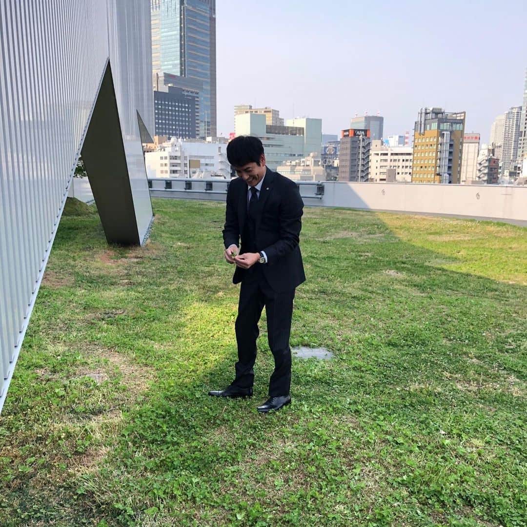 おっさんずラブ 武蔵の部屋のインスタグラム：「黒澤武蔵、記憶のカケラを探し中。 #本日のお仕事はTK不動産本社にて #会議終わりに屋上に来てみたら #狸穴リーダー発見👀 #彼は弊社の会長肝いりプロジェクトの長 #我々に無理難題をふっかけてくる #いけすかないヤツである(−_−＃) #しかし何かを必死に探しているようだ #どうしたというのだろうか #これも違うじゃないか嗚呼‼️ #とか叫んでいる #かれこれ30分以上繰り返している #どうやら四つ葉のクローバーを探しているようである🍀 #まじかぁぁぁ #えっそんなに幸せを補充する必要があるのかなぁぁぁ #えっなんかイメージ変わるわぁ #もう神様なんだか不憫なので彼に両手いっぱいの四つ葉をお願いします #武蔵すっかり応援中📣」