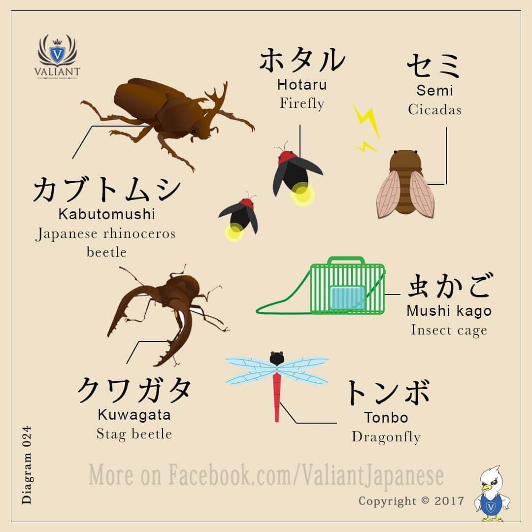 Valiant Language Schoolさんのインスタグラム写真 - (Valiant Language SchoolInstagram)「・ 🖌: @valiantjapanese ・ 👩🏼‍🏫📓: Summer Insects : 虫 🐜🕷🇯🇵 #JLPT ・ Use #valiantjapanese for feature 📸 .」8月7日 11時37分 - valiantjapanese