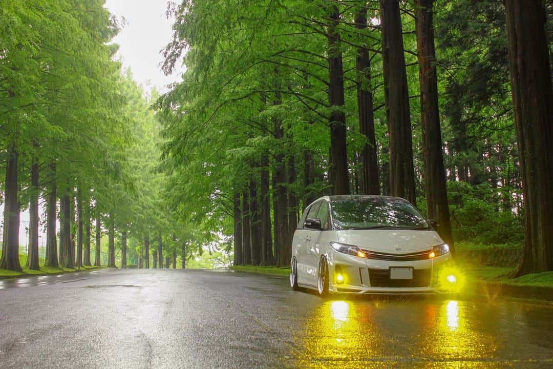 fcl.(エフシーエル)さんのインスタグラム写真 - (fcl.(エフシーエル)Instagram)「. 新緑の#メタセコイア並木！ 雨の日でもしっかり照らしてくれる ツインカラーLEDフォグ(° ꈊ °)✧キラーン . オーナー:けんのじ～様 車 種:#エスティマ 平成21年式 #ACR50 商 品: [フォグランプ] #fclカラーチェンジledバルブ [ウィンカー]T20 23連LED＋抵抗6Ω . ▶お買いものは写真内のタグをタップ！ またはプロフィールのリンクからどうぞ →@fcl_ledhid . . . . #fcl #みんカラ #車のある風景 #カスタムカー #車いじり #愛車 #写真好きな人と繋がりたい #車好き #車好きな人と繋がりたい #車撮影 #車好きと繋がりたい #ファインダー越しの私の世界 #車の写真が好きな人と繋がりたい #フォトコンテスト #toyota #50エスティマ #エスティマ50 #toyotaprevia #toyotaestima #estima #トヨタエスティマ #toyota #トヨタ自動車 #previa　#マキノ高原」8月7日 12時00分 - fcl_ledhid