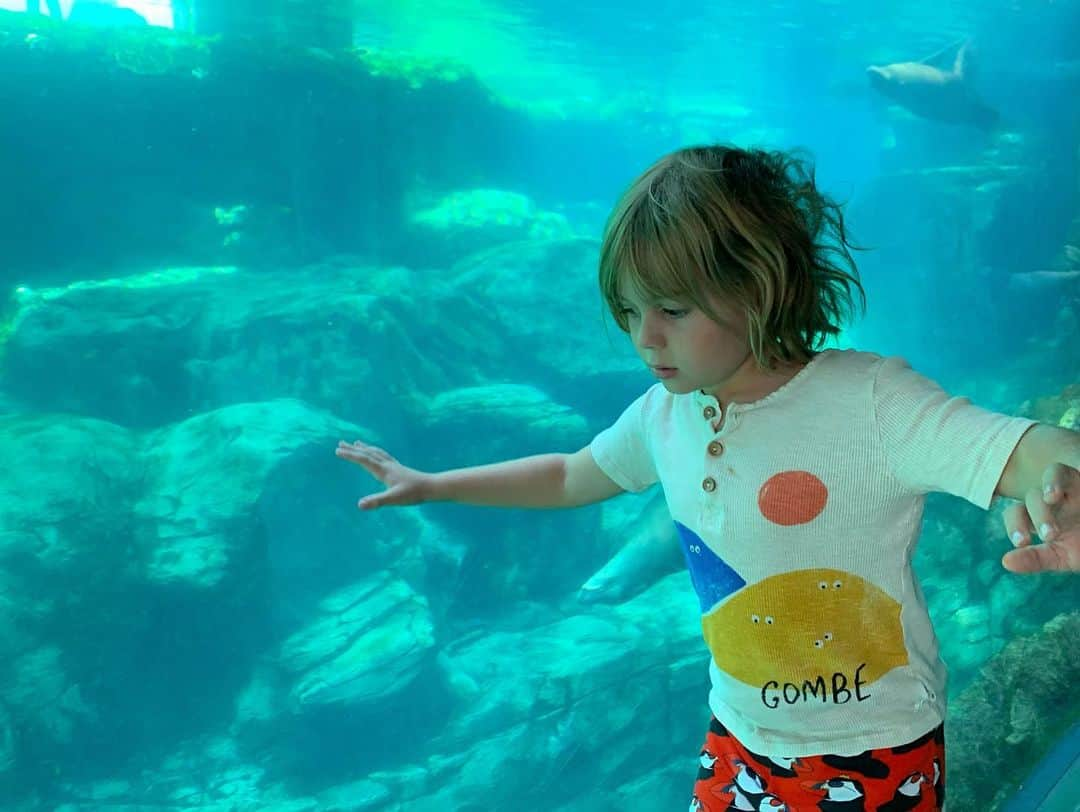 カイル・ニューマンさんのインスタグラム写真 - (カイル・ニューマンInstagram)「FIELD TRIP!!! Took the boys to #longbeachaquarium for an an amazing day of sea life exploration.」8月7日 11時58分 - kyle_newman