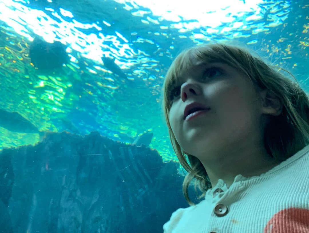 カイル・ニューマンさんのインスタグラム写真 - (カイル・ニューマンInstagram)「FIELD TRIP!!! Took the boys to #longbeachaquarium for an an amazing day of sea life exploration.」8月7日 11時58分 - kyle_newman