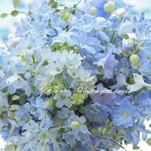 雑誌『花時間』さんのインスタグラム写真 - (雑誌『花時間』Instagram)「こんにちは😊  昨日の動画は15秒の涼。ならば、静止画の今日は…永遠の涼？  この花はデルフィニウムです。うすーい、うすい水色から今日の空のような濃い青まで、デルフィニウムには、さまざまな青があります。暑さで、へなへなと青菜に塩😅状態のときは、こんなふうに薄いほうのデルフィニウムを選んで、グラデで飾ってみませんか？ すーっと汗が引いて、ひと息つけそう。イメージするのはガリガリ君？  いや、お上品にシャーベット🍧としておきます（笑）  では、午後も暑さ対策を怠らず、元気smile😊😊😊で頑張りましょう！  by ピーターパン  花 @bouquet_ichie  写真 @masaki.yamamoto  #flowers #flowerslovers #flowerstagram #flowerarrangement #blueflowers  #花時間 #花時間201９ #花好き #花藝 #花好きな人と繋がりたい #花が好きな人と繋がりたい #花のある生活 #花のある暮らし #Delphinium  #デルフィニウム  #シャーベットカラー  #青い花が好き  #水色 #花を飾る  #花を飾る生活  #夏の花  #botanicallife  #花屋さんへ行こう」8月7日 12時48分 - hanajikan_magazine