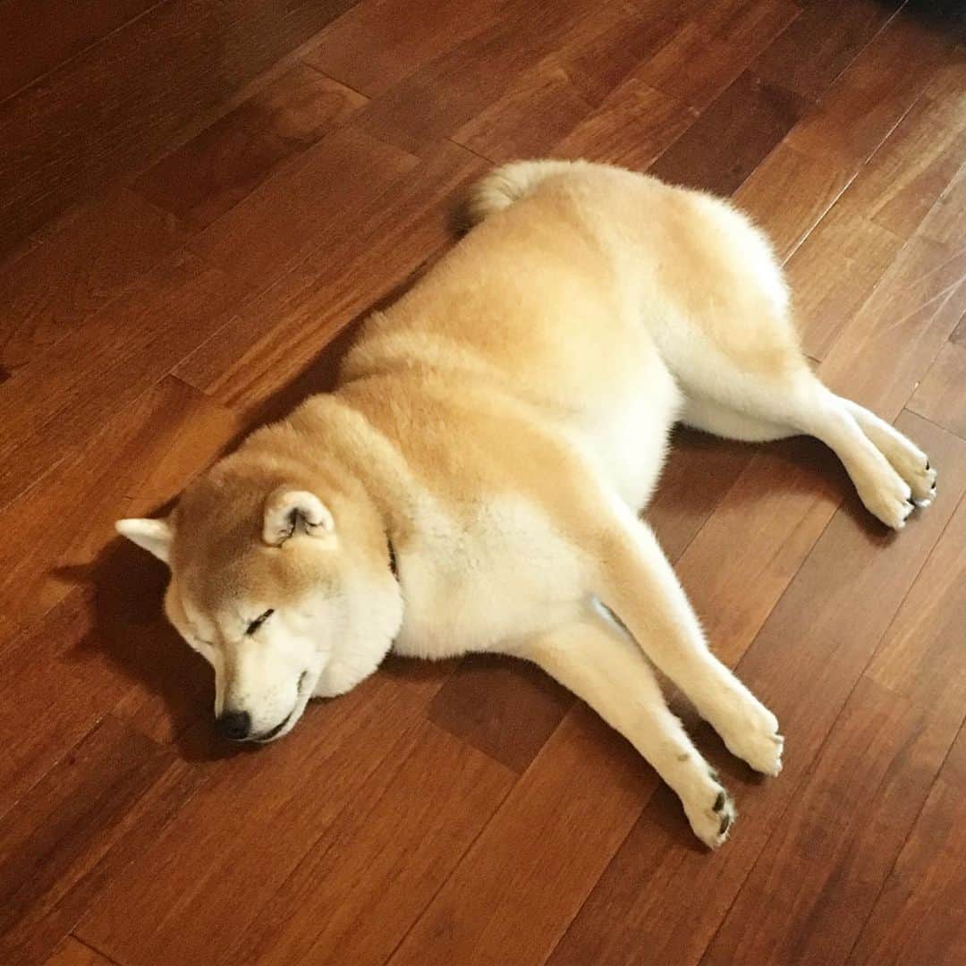 てんパパのグルメインスタ