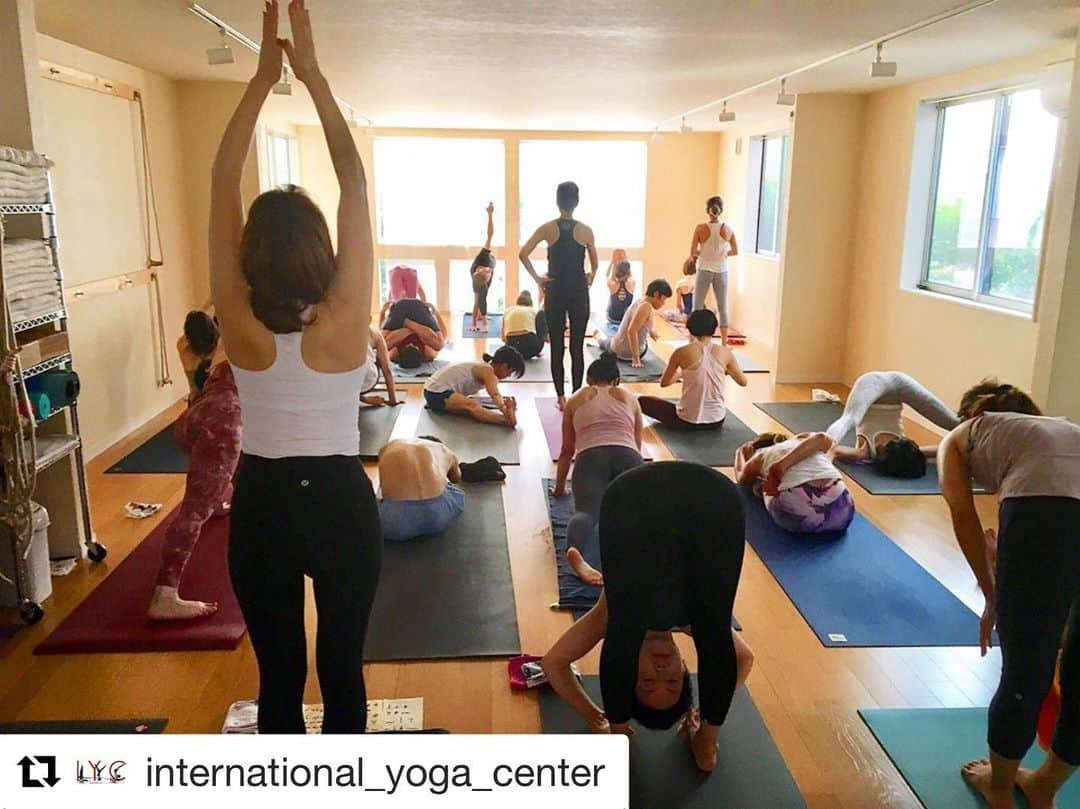 Ken Harakumaさんのインスタグラム写真 - (Ken HarakumaInstagram)「#Repost @international_yoga_center with @get_repost ・・・ ケンハラクマによるアシュタンガヨガ早朝マイソールクラス🧘‍♂️ 8月の開催日は、19,20,21,22,23,24,25,26,27,28,29,30日の12日間連続開催です！ 予約はいりませんので、6am-7:15amまでにIYC表参道スタジオ2階へお越しください。 アシュタンガヨガが初めての方も、マイソールスタイルでの練習が初めての方でも大丈夫です！ http://www.iyc.jp/studio/omotesando/p27427 @kenharakuma #kenharakuma #mysoreclass #ケンハラクマ #マイソール#ケンハラクマ #ケンハラクマ先生 ＃ケンハラクママイスルクラス#アシュタンガヨガ #ashtangayoga」8月7日 19時26分 - kenharakuma