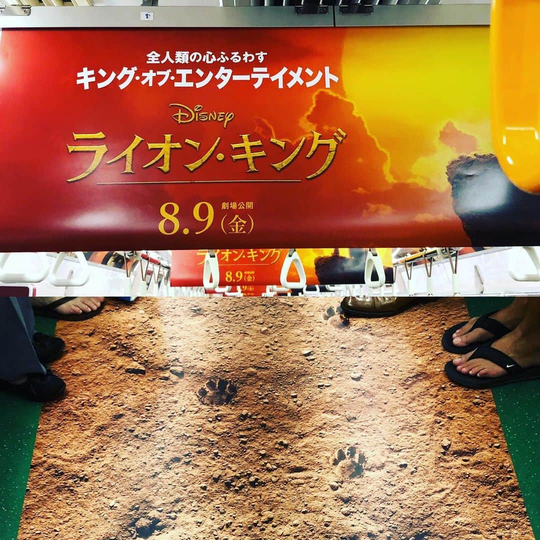 藤田琢己さんのインスタグラム写真 - (藤田琢己Instagram)「ライオンキングトレイン！」8月7日 14時39分 - takumifujita1