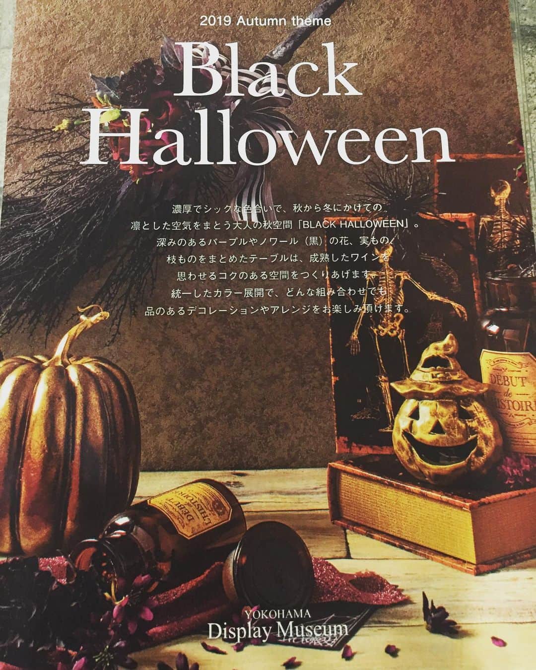 横浜ディスプレイミュージアムのインスタグラム：「ハロウィンに向けた花材が取り揃えております！ アーティフィシャルフラワーならではの黒いお花や葉物、枝ものたくさん入荷しております。 モダンなハロウィンの演出におすすめです♪  #ハロウィン#横浜ディスプレイミュージアム #株式会社ポピー #横浜 #ディスプレイ#アーティフィシャルフラワー #フラワーアレンジメント #フラワーデザイン #インテリア雑貨 #インテリア#インテリアコーディネート#スタイリスト#装飾#デコレーション #花のある暮らし #花好きな人と繋がりたい #display #yokohama #flowerarrangement #interiordesign #artficialflower #flowerstagram」