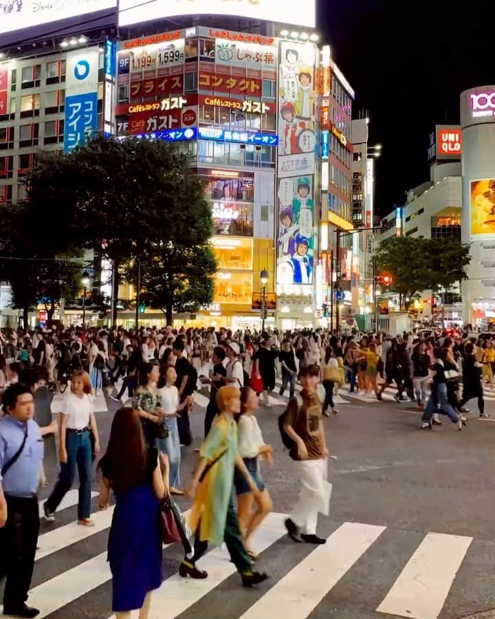 ズザンナ・ヤカボスのインスタグラム：「🌃🐜」