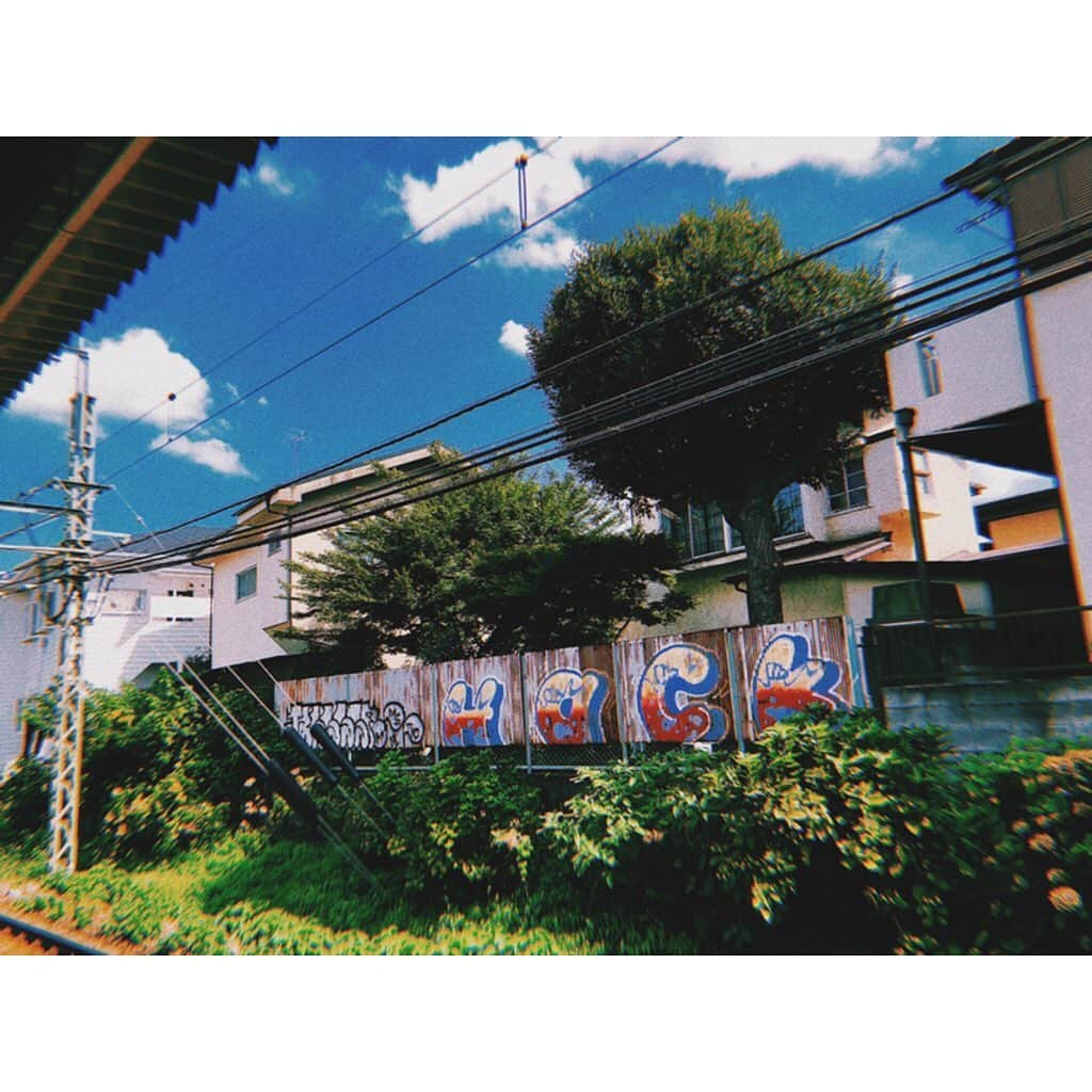 中塚智実のインスタグラム：「好きな感じ。 . #夏 #青 #緑 #駅」