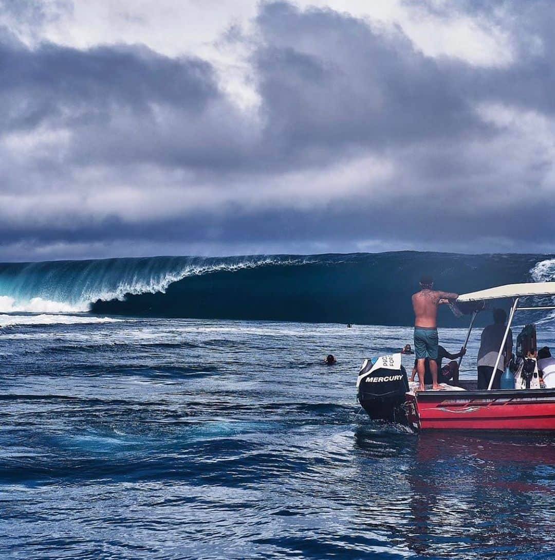 surflineさんのインスタグラム写真 - (surflineInstagram)「Viewing party. 📷: @russellordphoto」8月7日 16時41分 - surfline