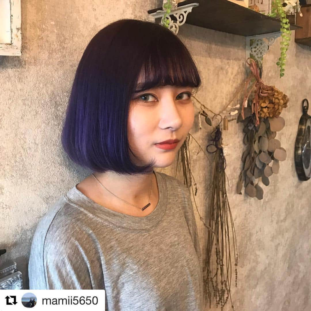 ロコル公式アカウントのインスタグラム：「#Repost @mamii5650 with @get_repost ・・・ 落ち着きのあるバイオレットで 上品な派手髪が叶います🙆‍♀️✨ リポストさせていただきました😊 ありがとうございます！！ * * #バイオレット #バイオレットカラー #ロコルオーキッド #ロコル #locor #ヘアカラー #haircolor #サロンカラー #saloncolor #ブリーチ #bleach #デザインカラー #designcolor #グラデーションカラー #gradationcolor #ハイライトカラー #highlightcolor #ハイトーンカラー #hightonecolor #外国人風カラー #ルベル #lebel #タカラベルモント #takarabelmont」