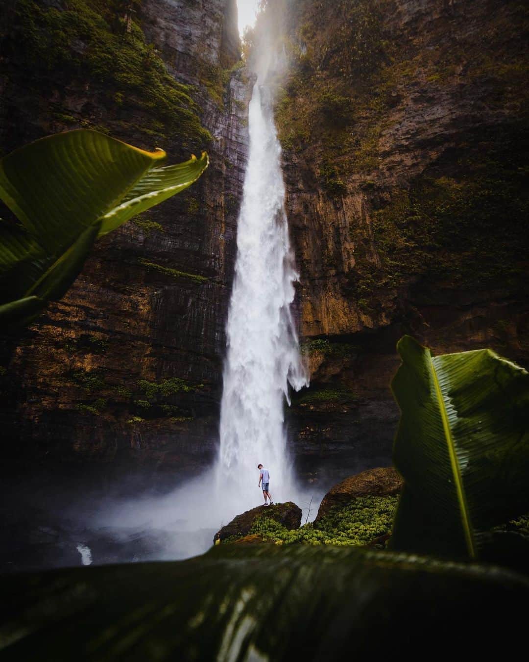 Canon Photographyさんのインスタグラム写真 - (Canon PhotographyInstagram)「I really miss these magical jungle showers in East-Java! A beautiful hike through the deep jungle lead us to this impressive waterfall! SWIPE for the video! ↠  Photography | @sjoerdbracke  East Java, Indonesia #lumajang #eastjava #canon_photos #cpcollectives」8月7日 17時06分 - cpcollectives