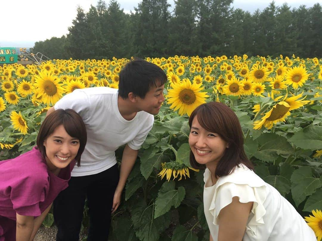 札幌テレビ「どさんこワイド朝」さんのインスタグラム写真 - (札幌テレビ「どさんこワイド朝」Instagram)「. 明日、8日(木)のどさんこワイド朝では 久保アナと西尾アナ、北本アナが名寄から生中継😁 . 見ごろを迎えているひまわりをご紹介します！🌻 . 是非ご覧ください😊 . #北海道 #名寄 #ひまわり  #絶景 #夏 #アナウンサー  #札幌テレビ #どさんこワイド朝  #久保朱莉 #西尾優希 #北本隆雄」8月7日 16時59分 - dosanko_asa