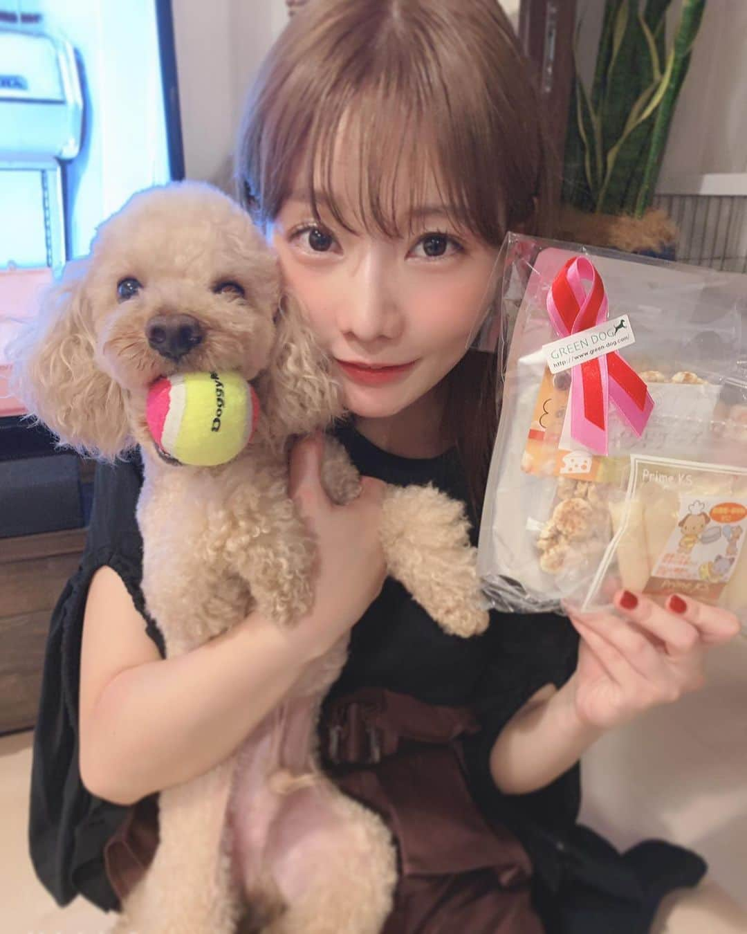 山内あいなさんのインスタグラム写真 - (山内あいなInstagram)「Happy Birthday ぷぅ🐶🧁💛﻿ ﻿ #8月6日﻿ #ハムの日に生まれたイヌ﻿ #大好物のチーズ盛り合わせプレゼント #犬 #犬のいる暮らし  #犬のいる生活  #dog  #dogstagram」8月7日 17時13分 - ainayamauchi3131