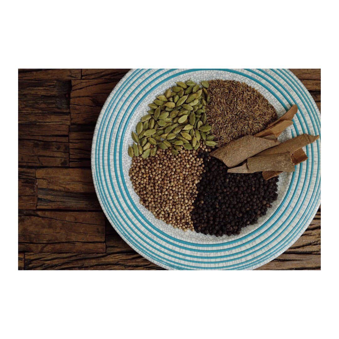 中本千尋のグルメインスタ