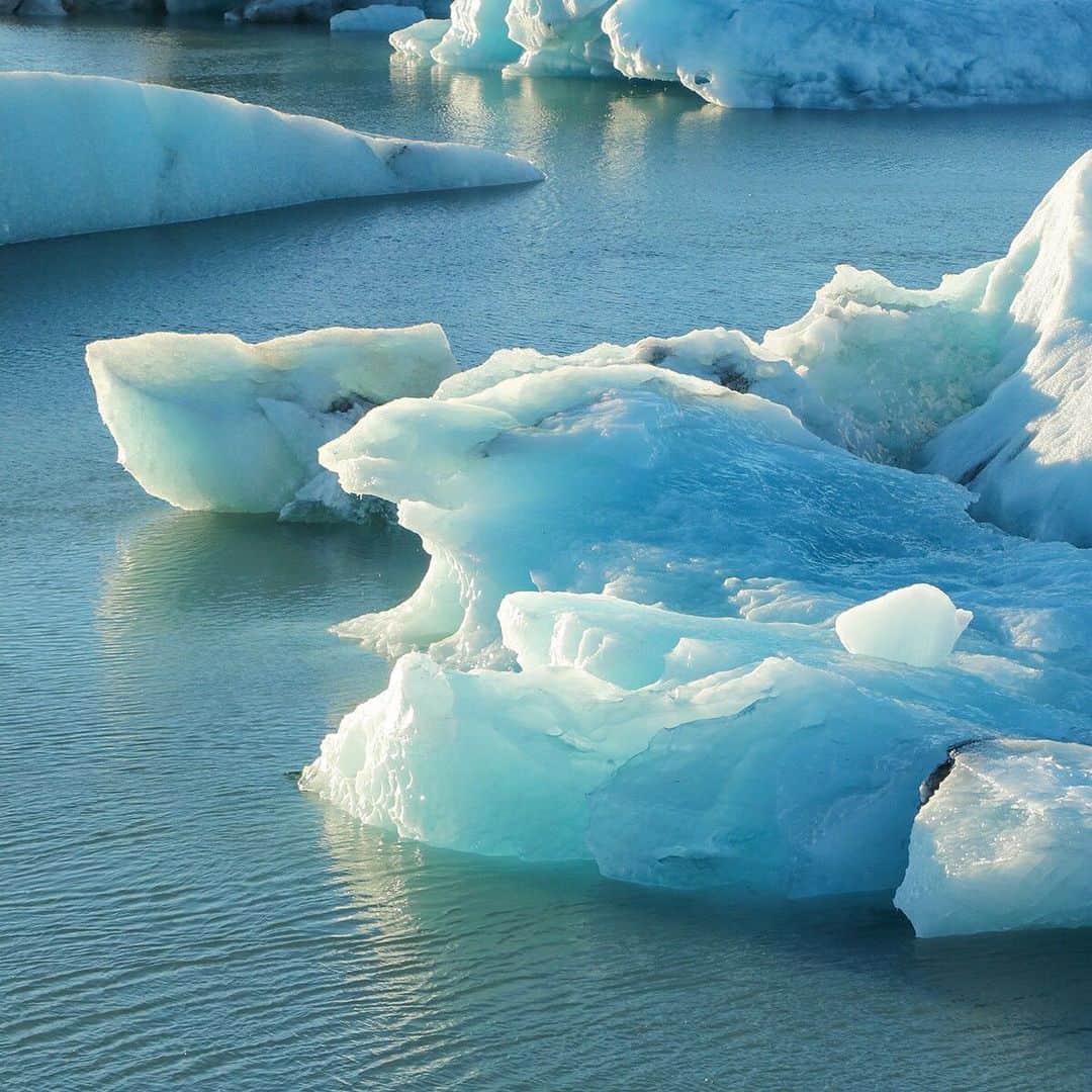 KEINA HIGASHIDEさんのインスタグラム写真 - (KEINA HIGASHIDEInstagram)「暑いときは涼しい写真を。 アイスランドの南海岸に位置するJökulsárlón（ヨークルスアゥルロゥン氷河湖）。ここはアイスランドで最も有名な絶景スポット。氷河が湖に崩れ落ち、氷山や流氷として浮かぶその様子は、色も形もなんとも美しい。  写真展&まぜこぜ世界蚤の市は 今週の土曜までの開催です。 雑貨やZINEも残りわずかとなりました。 お見逃しなく～  keina higashide exhibition 『Colors of Iceland』 火山と氷の国、アイスランドを旅して出会った、静かに心奪われる不思議な風景をお届け。氷河、温泉、オーロラ、音楽、ときどき温水プール。coedaのKeinaがアイスランドで撮影した旅の写真を展示・販売。ぜひ、旅気分を味わいに来てください。  日時：2019年7月6日（土） - 8月10日（土） OPEN：12:00-19:00（会期中無休） 会場：KOYA( @koya_kamishakujii ) 東京都練馬区上石神井2-21-12 http://www.koya-kamishakujii.com [同時開催] 『まぜこぜ世界蚤の市』 coedaの3人が旅して集めた、世界の雑貨、文具、民芸品、古本、古着など、選りすぐりのアイテムを販売。  #まぜこぜ世界蚤の市 #coeda﻿﻿﻿﻿﻿ #KOYA #上石神井 #tokyo﻿﻿ #同時開催で写真展 #アイスランド#iceland﻿﻿ #keinahigashide_portfolio」8月7日 17時41分 - keina_higashide