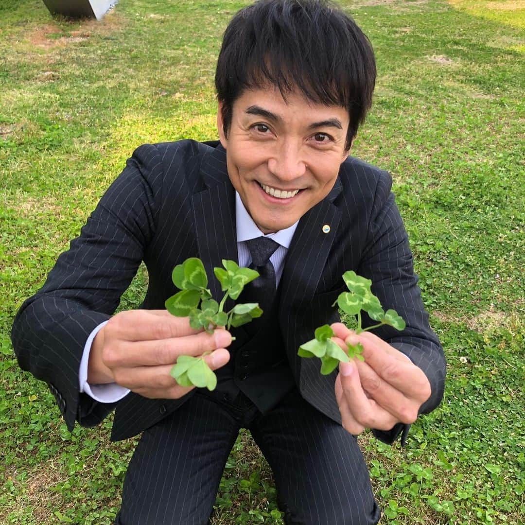 おっさんずラブ 武蔵の部屋のインスタグラム：「黒澤武蔵、記憶のカケラを探し中。 #その後の狸穴リーダー #どうやらやっと1点 #幸せを見つけたらしいです🍀 #達成感に溢れる狸穴氏😤 #ドヤ顔で見せてくる狸穴氏😏 #でも見つけた四葉があまりに不恰好で #自分で笑っちゃう狸穴氏😆 #若干のむさしキュン #ちなみに狸穴氏がクローバー探してる間に #わたくし大量に見つけてしまったんだお🍀 #どうして彼はこんなにも見つけられないのか不思議レベル #試しに #武蔵獲得分を狸穴氏に与えてみたところ #とっても喜びました #溢れるような笑顔 #いつものジーニアスな感じどこ行った #うーむやはりこれは幾ばくかの #むさしキュン」