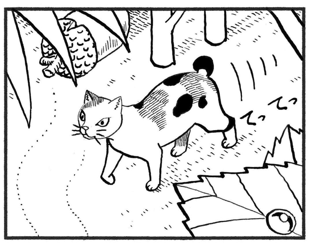 相原コージさんのインスタグラム写真 - (相原コージInstagram)「『こびとねこ』紙でも電子でも発売中です。 #こびとねこ #ねこ #こびと #漫画 #水滴 #三毛 #comic #manga #thumbcat #cat #kojiaihara」8月7日 17時39分 - kojiaihara