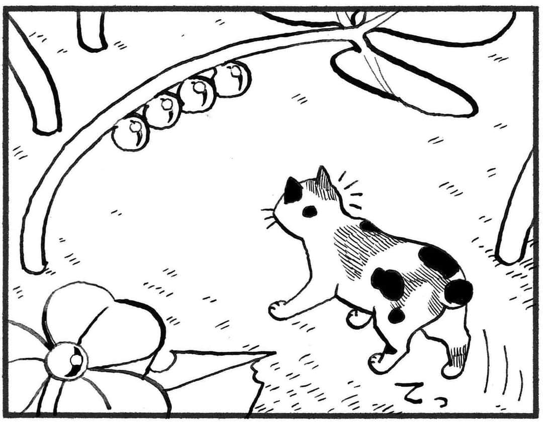 相原コージさんのインスタグラム写真 - (相原コージInstagram)「『こびとねこ』紙でも電子でも発売中です。 #こびとねこ #ねこ #こびと #漫画 #水滴 #三毛 #comic #manga #thumbcat #cat #kojiaihara」8月7日 17時39分 - kojiaihara