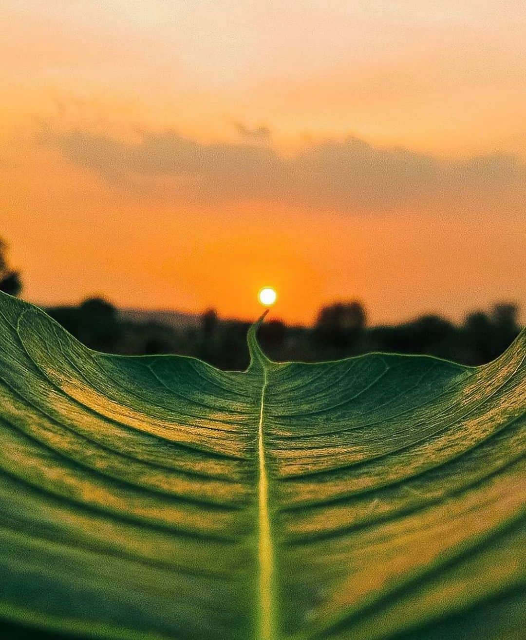 Canon Photographyさんのインスタグラム写真 - (Canon PhotographyInstagram)「Nature providing the perfect composition @canon_girl_5」8月8日 4時29分 - cpcollectives