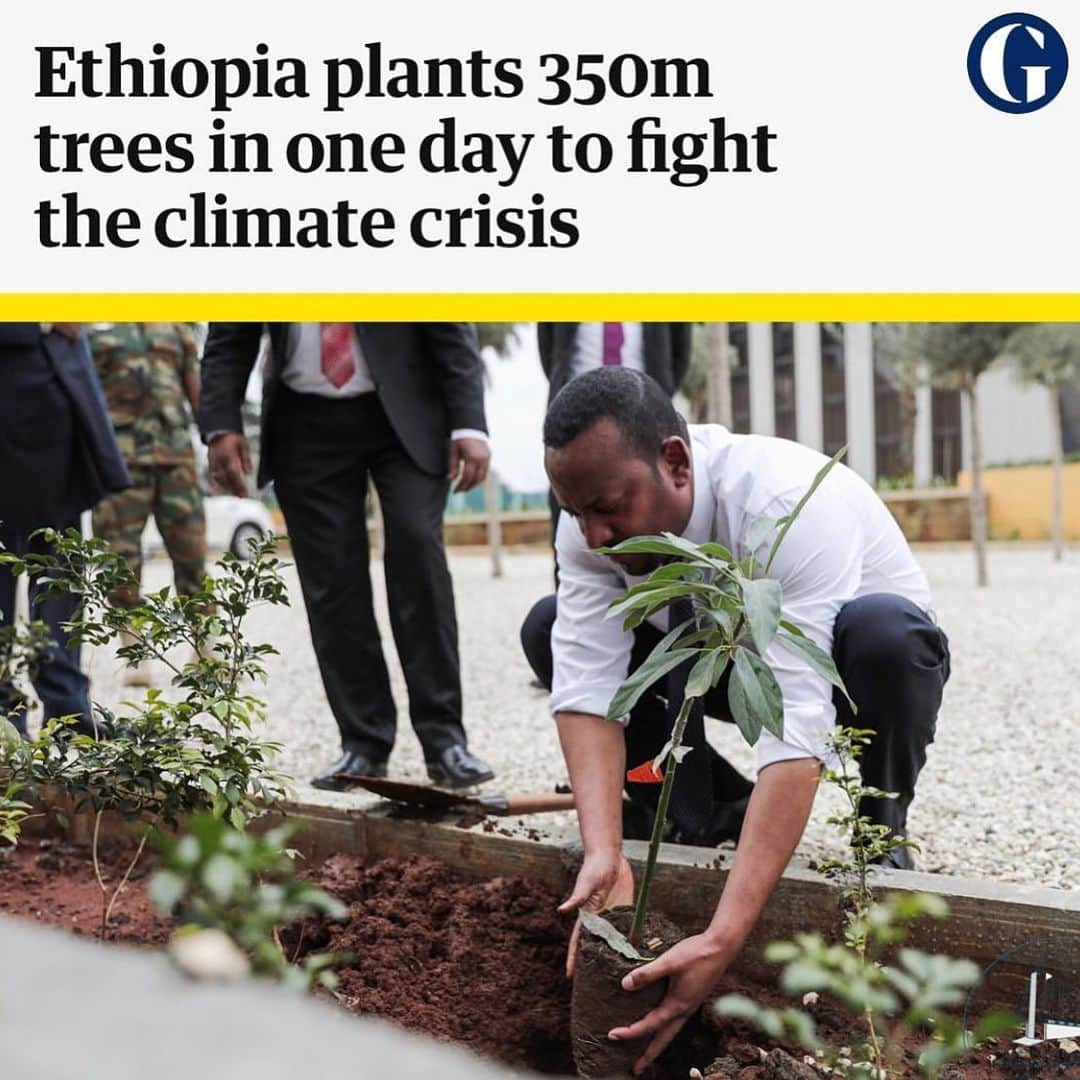 レオナルド・ディカプリオさんのインスタグラム写真 - (レオナルド・ディカプリオInstagram)「#Regram #RG @guardian:  Ethiopians have planted about 350m trees in a single day as part of a national effort to tackle the climate crisis and deforestation.  The aim is to grow 4bn new trees by getting every citizen to plant at least 40 seedlings over the summer.  Public offices reportedly closed to enable civil servants to take part in the initiative, which broke India's record of most trees planted in a day (50m). Ethiopia's forest coverage shrank from 35% in the 1900s to just 4% in the 2000s.」8月8日 3時02分 - leonardodicaprio