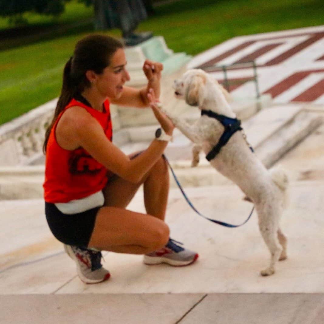 マリッサ・キャステリのインスタグラム：「A little early morning workout with Mosby. #justshowup」