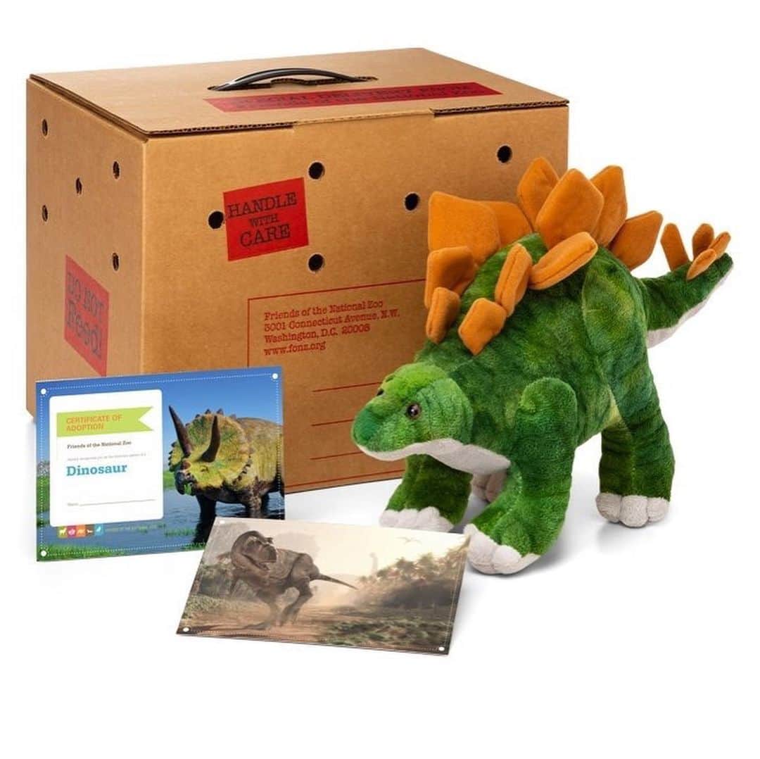 スミソニアン国立動物園さんのインスタグラム写真 - (スミソニアン国立動物園Instagram)「🦖 During Dino Summer, stegosaurus and T. rex are unextinct—and you can adopt them! These limited-edition Adopt a Species packages include: • 12-inch plush animal • Animal carrier box • Postcard • Certificate of adoption  ADOPT TODAY: s.si.edu/2SbMcBX. (Link in bio.)」8月8日 3時15分 - smithsonianzoo