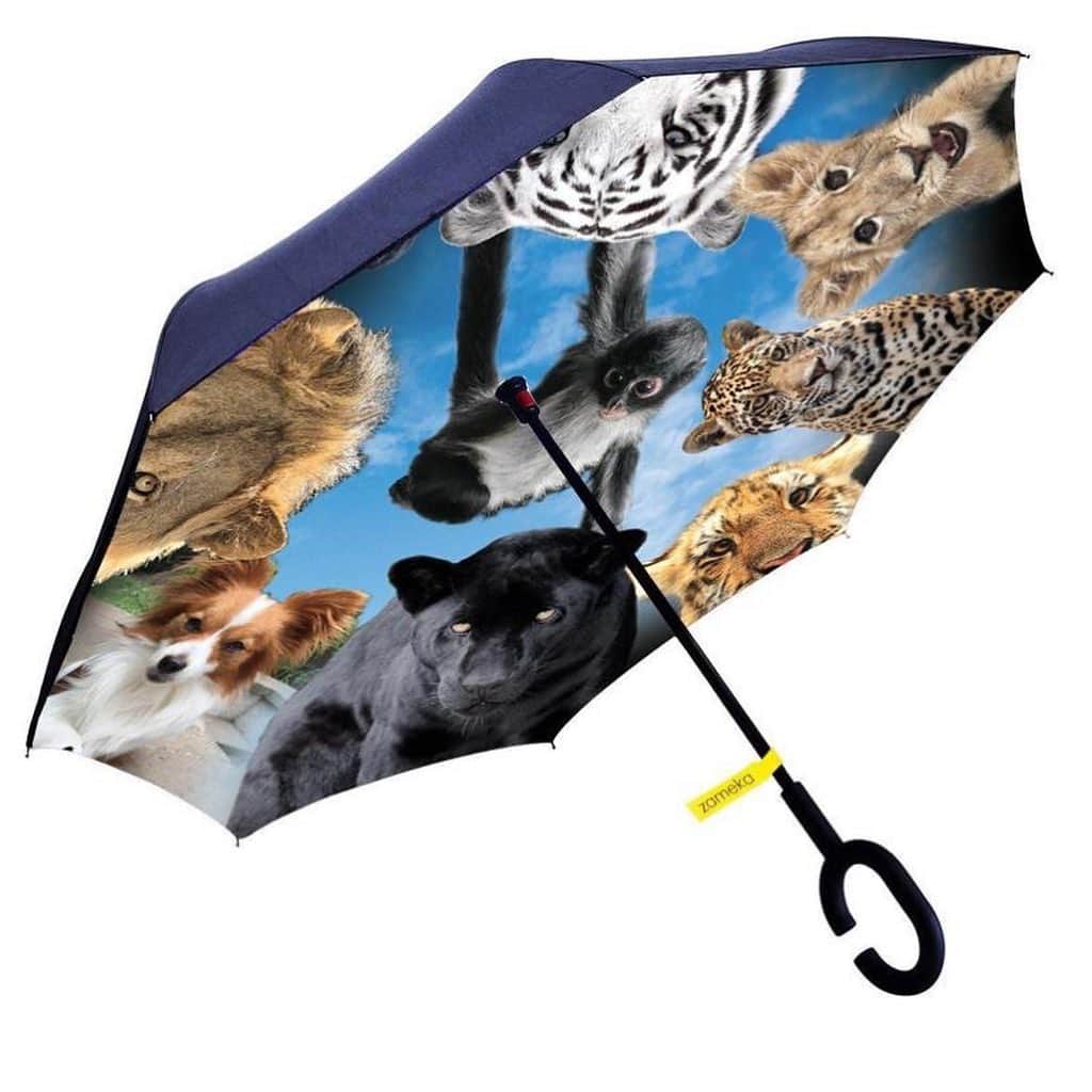 Black Jaguar-White Tiger さんのインスタグラム写真 - (Black Jaguar-White Tiger Instagram)「A HUGEEE 42 inch super high quality Windproof Double Layer Folding Inverted Umbrella, Self Stand Upside-Down Rain Protection Car Reverse Umbrellas with UV protection with Cielo, The Mighty Chiquitin, Lovey, Enzo, Lewis, Zelika, Lola, Changui and Penelope as companions.  It's a beautiful design by Jamie, the same one as my welcome home blanket :) Active link on our bio or at BJWTshop.com」8月8日 4時08分 - blackjaguarwhitetiger