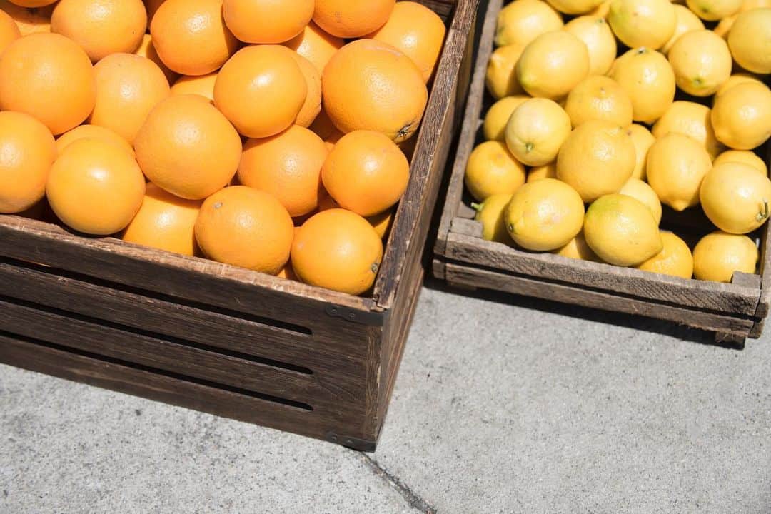 エラモスのインスタグラム：「These ELLAvated styles are the ZEST!」