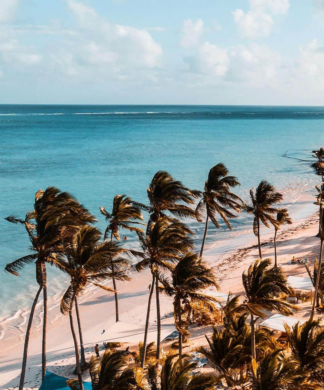 アクセサライズのインスタグラム：「Wednesday wanderlust... 💭🌴 #Accessorize」