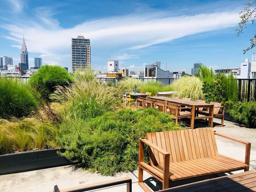 Hiroe Hiranoのグルメインスタ