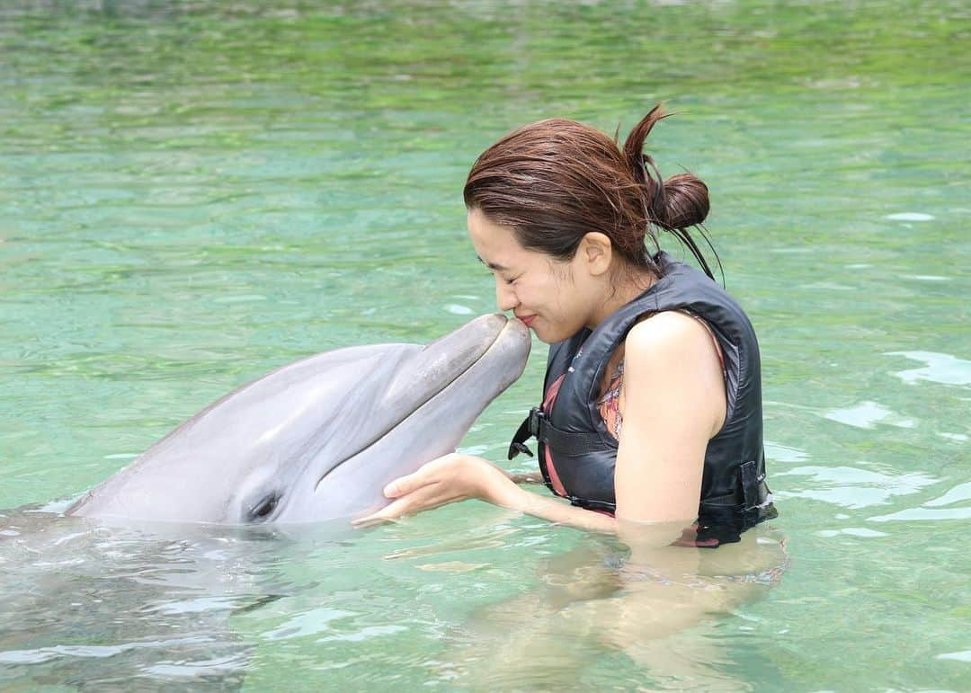 曽田茉莉江さんのインスタグラム写真 - (曽田茉莉江Instagram)「私は本当にイルカちゃん大好き過ぎで（以前も水族館のイルカちゃんに興奮してる動画がありますがw）  ハワイの写真は一旦おしまいっとか言いつつも、毎日イルカちゃんとの写真を見返しちゃうので載せちゃいます🤣🤣チューをいっぱいしてくれたハウナケアちゃん🐬かわいちゅぎる。。もうチュー大丈夫だよって言ってもしてくれる。。かわいちゅぎる。。ダメだ。ギューして寝たい😭❤️たくさん遊んでくれてありがとう🥺本当に本当に優しいおめめで…なんだか体から優しさが溢れ出てて…体験終わった後涙出ちゃったくらい感動しました😢もう会いたいよぉ🥺毎日猛暑ですし、もう海に潜りたいです🐬🐬シュノーケルも小学生ぶりでしたので、もうやりたくなっちゃってます🐠 🐬間も無くお盆ですね！みなさんはどう過ごされる予定ですか？🐬 #イルカ #イルカと泳ぐ #ハワイ島 #キス #kiss #シュノーケル #hawaii #すっぴん #気にしてられない幸福感#お許しくださいw」8月7日 20時03分 - marie_soda_