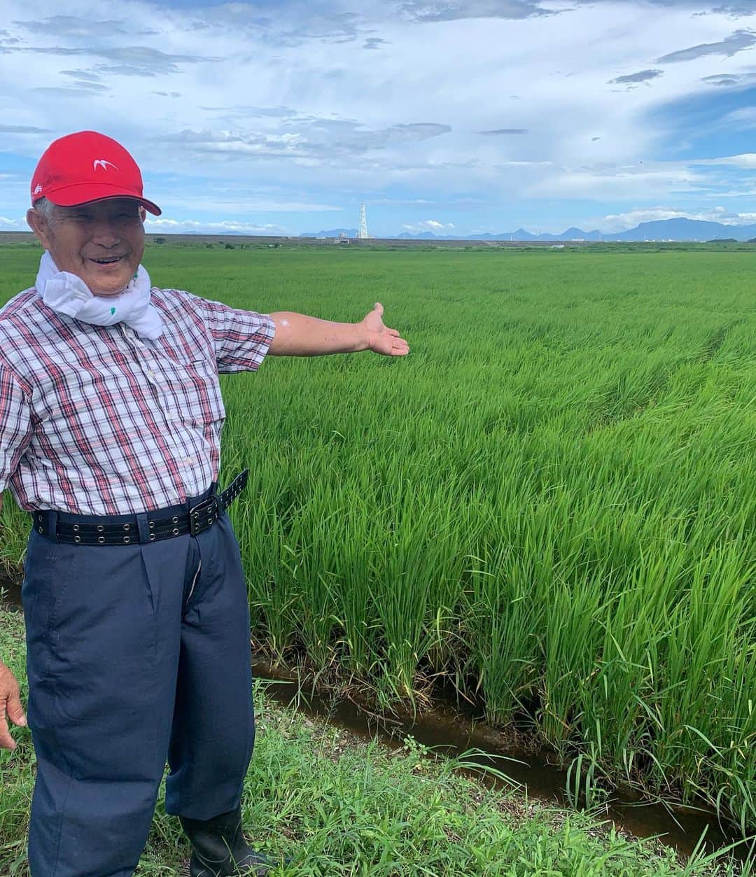 モリタさんのインスタグラム写真 - (モリタInstagram)「本日は、住民が安心・安全に生活できる持続可能な循環型まちづくりに取り組んでいる福岡県築上町(ちくじょうまち)を訪問。  廃消火器の消火薬剤をリサイクルして作った肥料原料「モリタ1号」と液肥を混ぜ、米、麦を栽培している田中農産・田中穀米の代表取締役 田中祐輔さんに、お米を育てている田んぼを見せて頂きました。  6月中旬に田植えし、9月末には収穫を迎えるそうです。  なぜ、消火器の消火薬剤が肥料原料に…？ 詳しくは…ぜひ「モリタ1号」と検索してみてください✨🌾✨ #モリタ1号」8月7日 20時33分 - moritagroup