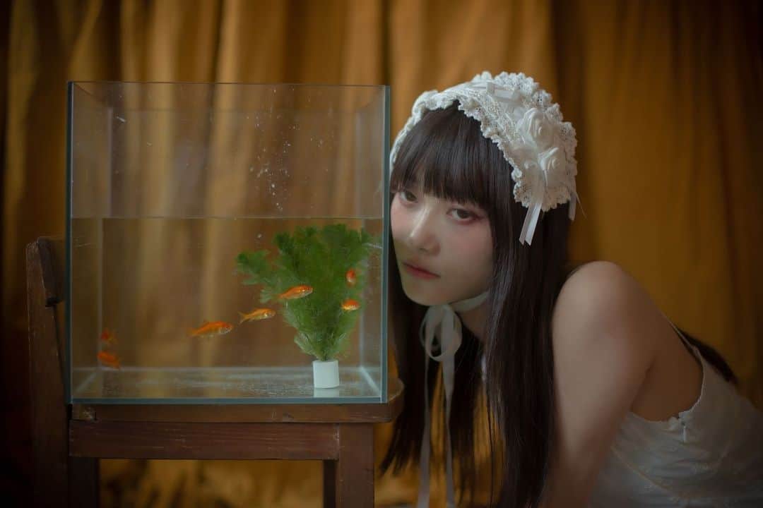 阿知波妃皇さんのインスタグラム写真 - (阿知波妃皇Instagram)「来月発売の雑誌tulleのSAKUさんの連載ページのモデルしてます 金魚さんと撮影したやつ楽しかったなあ 他にもいろんな姿になりましたので是非みてください #tulle #magazine」8月7日 20時50分 - achinami