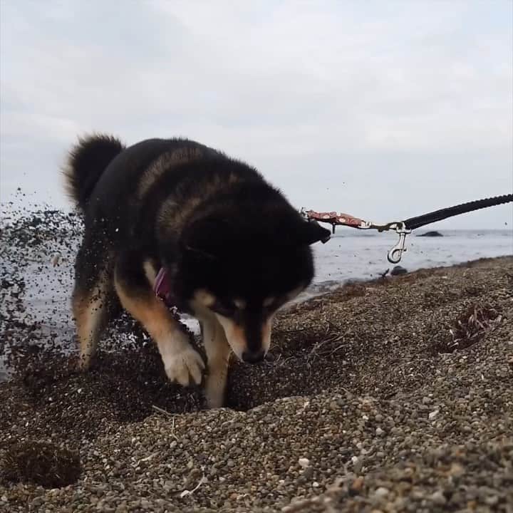 吾子のグルメインスタ
