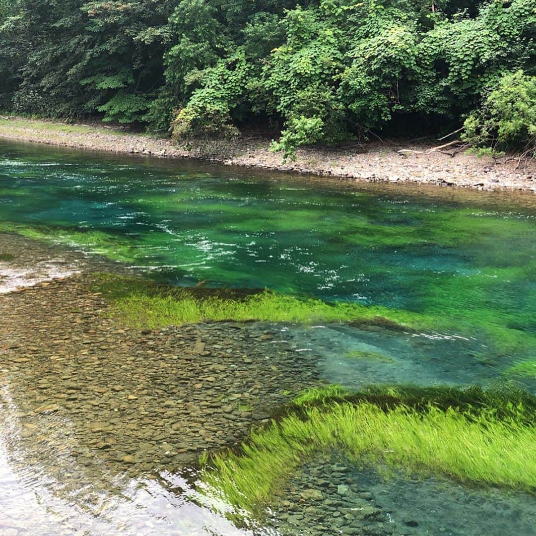 田中律子さんのインスタグラム写真 - (田中律子Instagram)「TOKAIケーブルネットワーク 『田中律子の旅するSUP』  ロケで北海道に来てまーっす🏄‍♀️ 久しぶりの支笏湖🤩水の透明度では、11年連続1位🏆日本一の綺麗さ✨  こんな素晴らしい湖でロケして幸せー🏄‍♀️✨🌞 ウェア全て @roxyjapan  ボード @starboard_japan  #tokaiケーブルネットワーク  #田中律子の旅するsup  #旅sup  #北海道 #でっかいどー #車移動長い  #透明度日本1の湖  #支笏湖」8月7日 21時22分 - ri2kotanaka