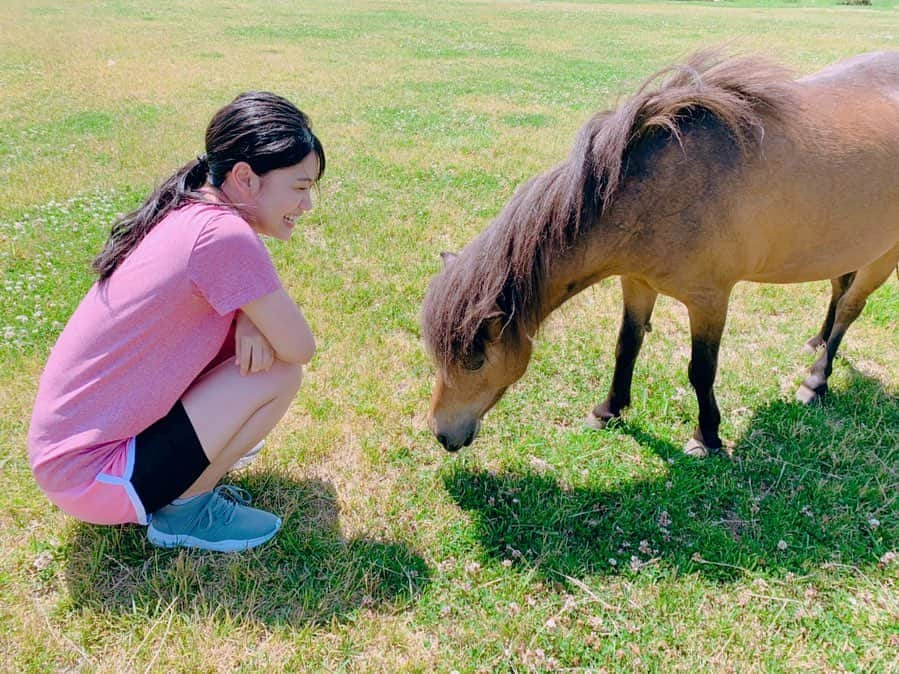 東李苑さんのインスタグラム写真 - (東李苑Instagram)「北海道江別市の #アースドリーム角山農場 という 動物達が放し飼いされている のびのびとした牧場での撮影💗 . 癒し〜〜かわいすぎ！ 道外の方だけでなく、道内の方にもオススメしたいくらい こんなに近くで触れ合える牧場なかなかない気がする🤔」8月7日 21時39分 - az_rion