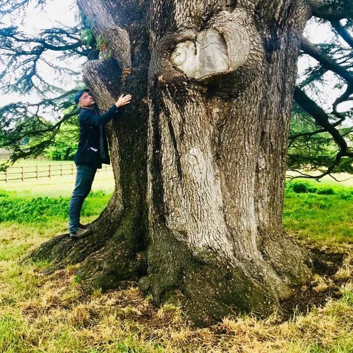 ポール・ブラックソーンさんのインスタグラム写真 - (ポール・ブラックソーンInstagram)「A slow motion explosion of energy from the Earth.  I like trees. They’re givers. They help keep us alive. I am a #TreeHugger.」8月7日 22時10分 - paulblackthorne