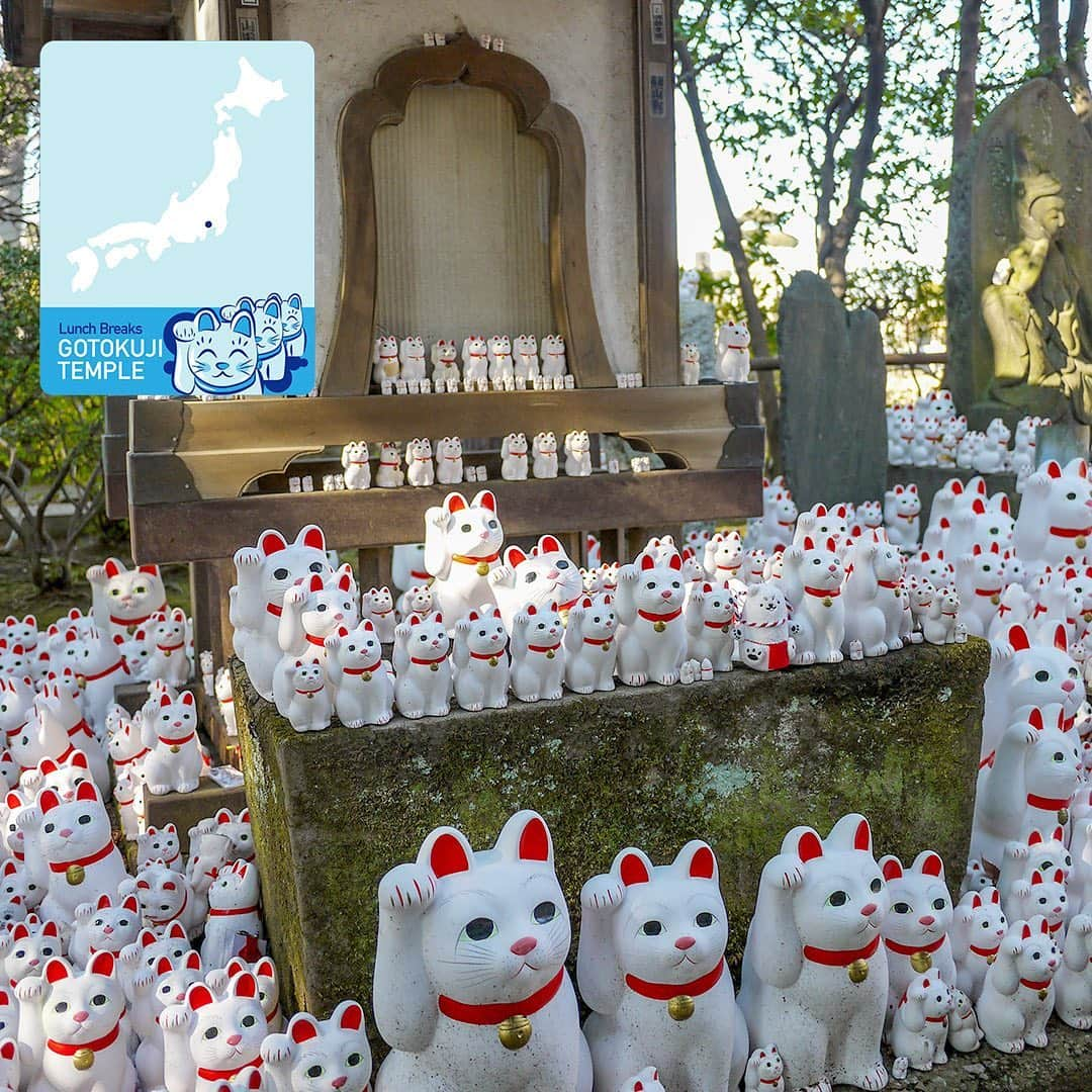 All Nippon Airwaysさんのインスタグラム写真 - (All Nippon AirwaysInstagram)「Paws your scroll right meow! The Gotokuji Temple is home to the origin of the famous Maneki-neko (waving cat) and features thousands of these felines. 🐾」8月7日 22時16分 - allnipponairways